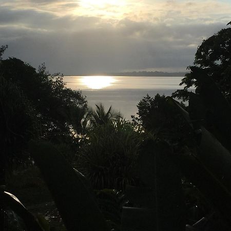 Dolphin Bay Hideaway Bed & Breakfast Bocas del Toro Exterior photo