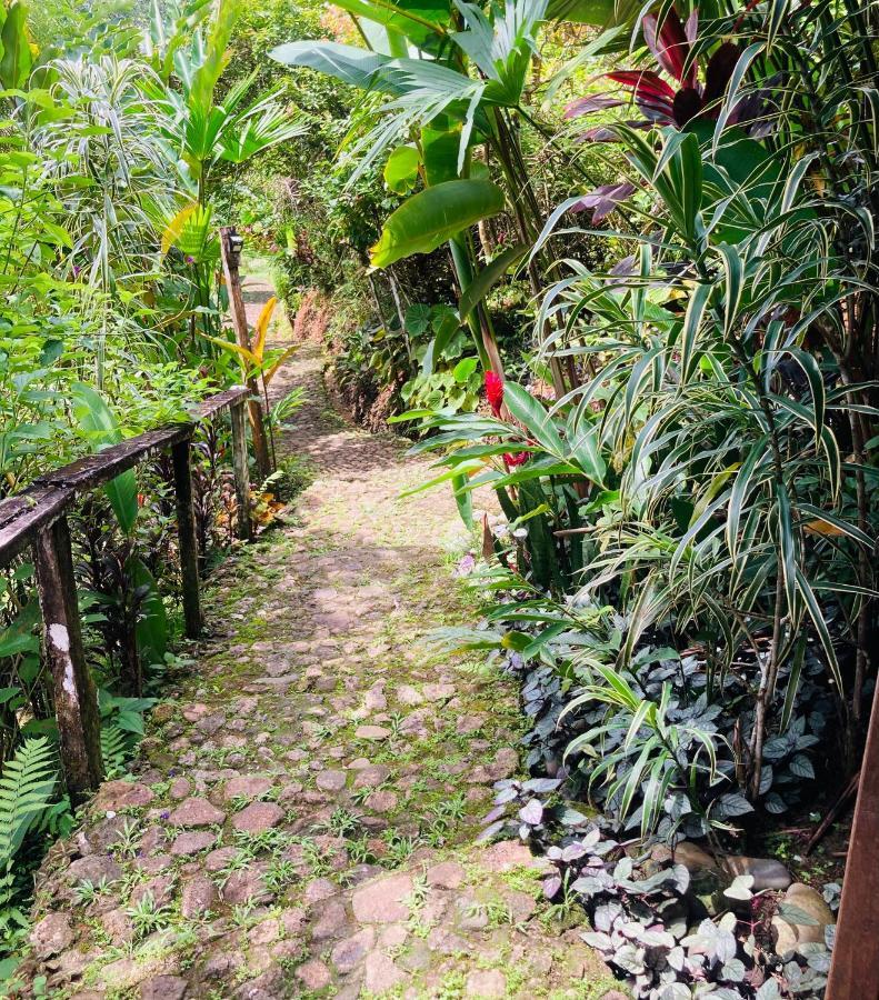 Dolphin Bay Hideaway Bed & Breakfast Bocas del Toro Exterior photo