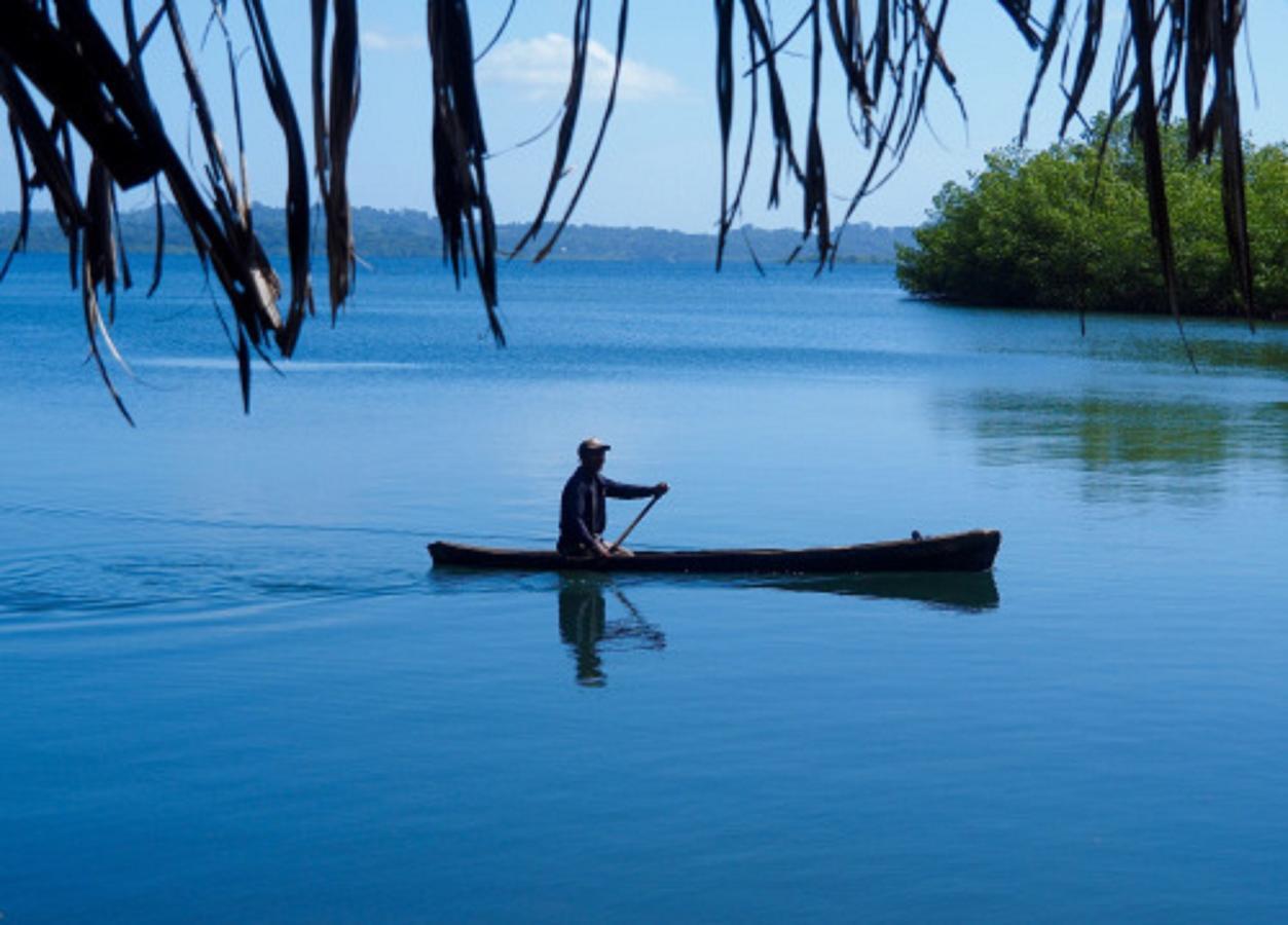 Dolphin Bay Hideaway Bed & Breakfast Bocas del Toro Exterior photo