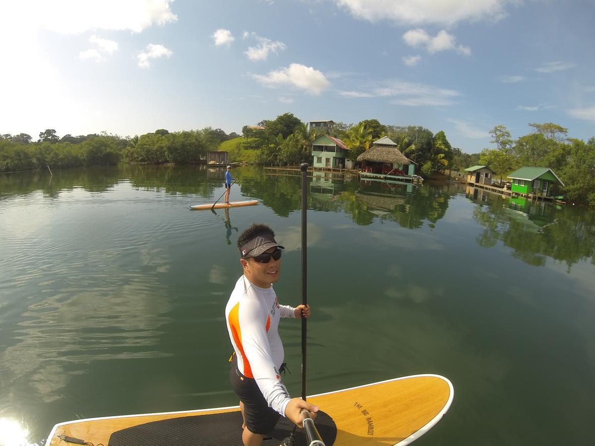 Dolphin Bay Hideaway Bed & Breakfast Bocas del Toro Exterior photo