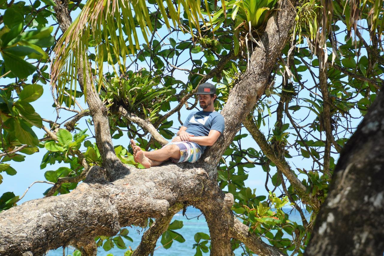 Dolphin Bay Hideaway Bed & Breakfast Bocas del Toro Exterior photo