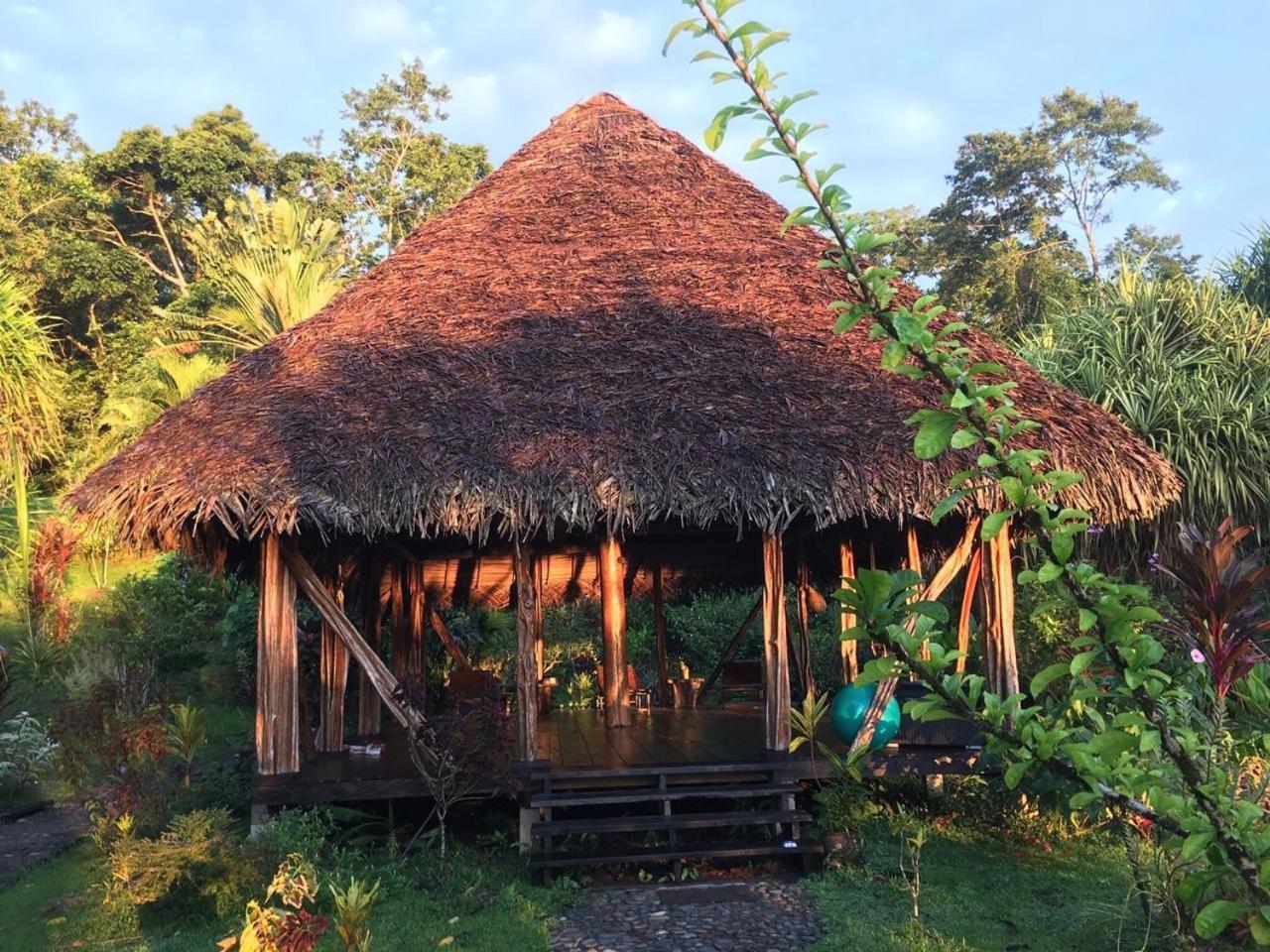 Dolphin Bay Hideaway Bed & Breakfast Bocas del Toro Exterior photo