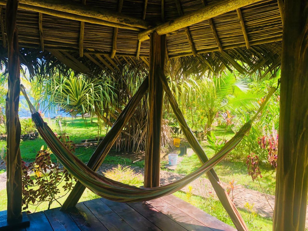 Dolphin Bay Hideaway Bed & Breakfast Bocas del Toro Exterior photo