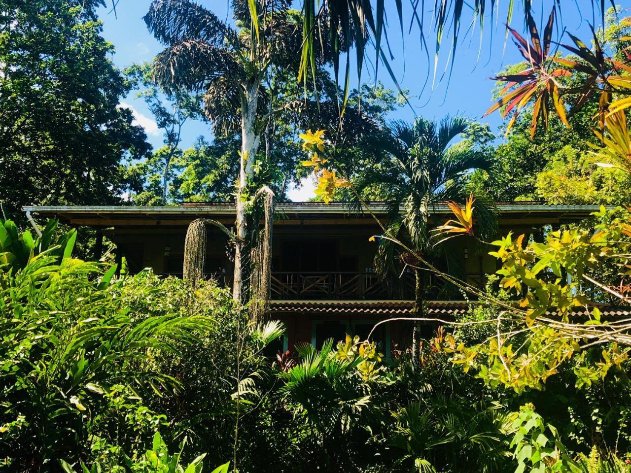 Dolphin Bay Hideaway Bed & Breakfast Bocas del Toro Exterior photo