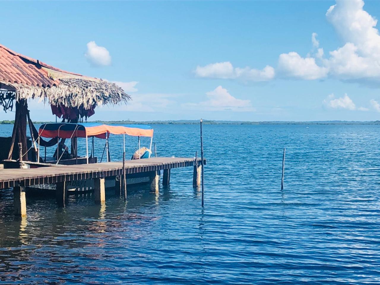 Dolphin Bay Hideaway Bed & Breakfast Bocas del Toro Exterior photo