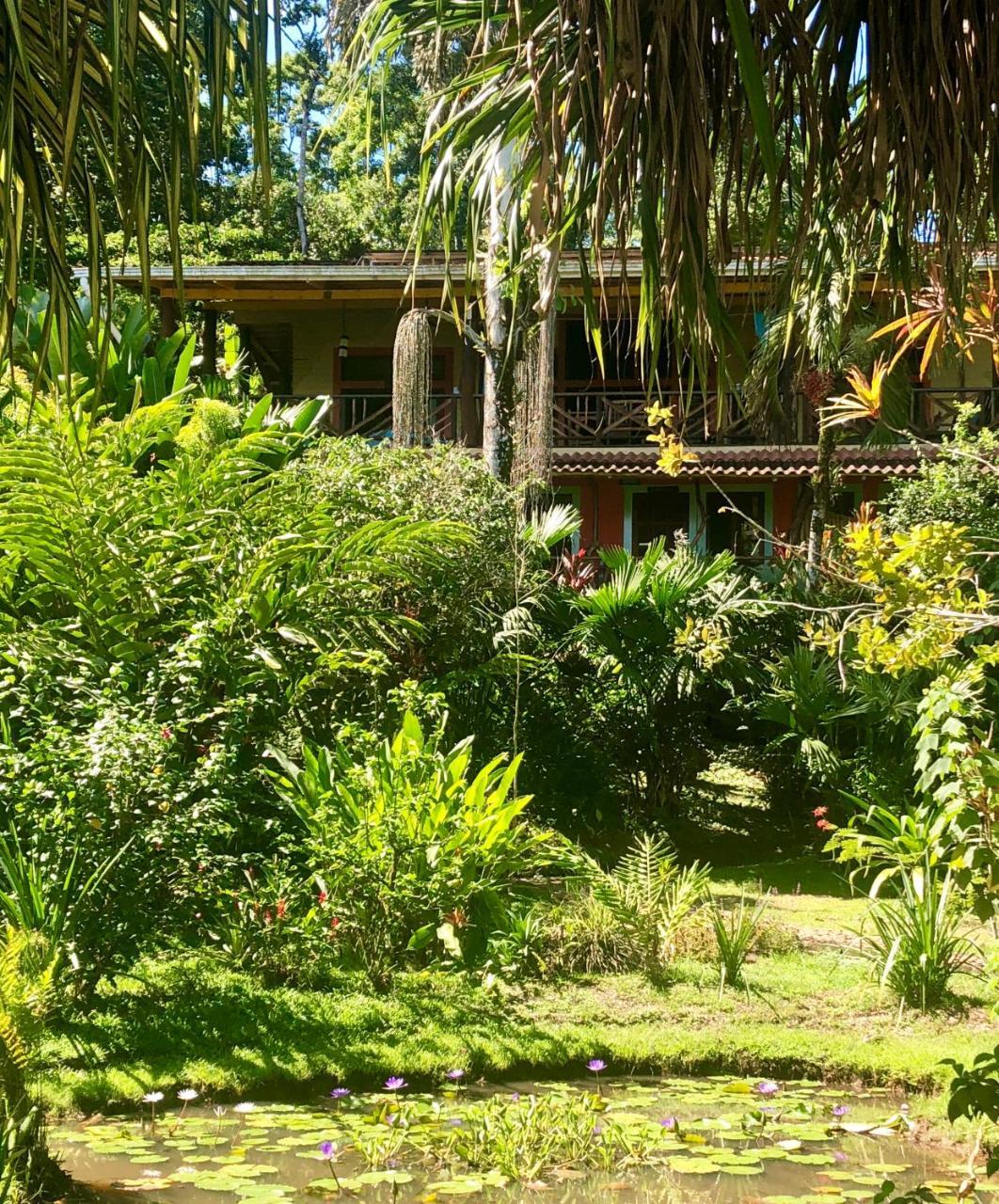 Dolphin Bay Hideaway Bed & Breakfast Bocas del Toro Exterior photo