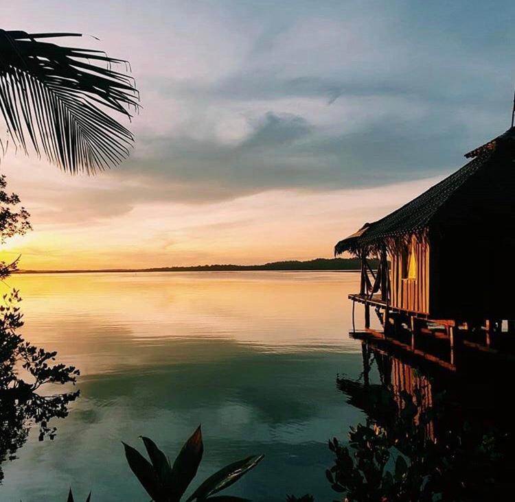 Dolphin Bay Hideaway Bed & Breakfast Bocas del Toro Exterior photo