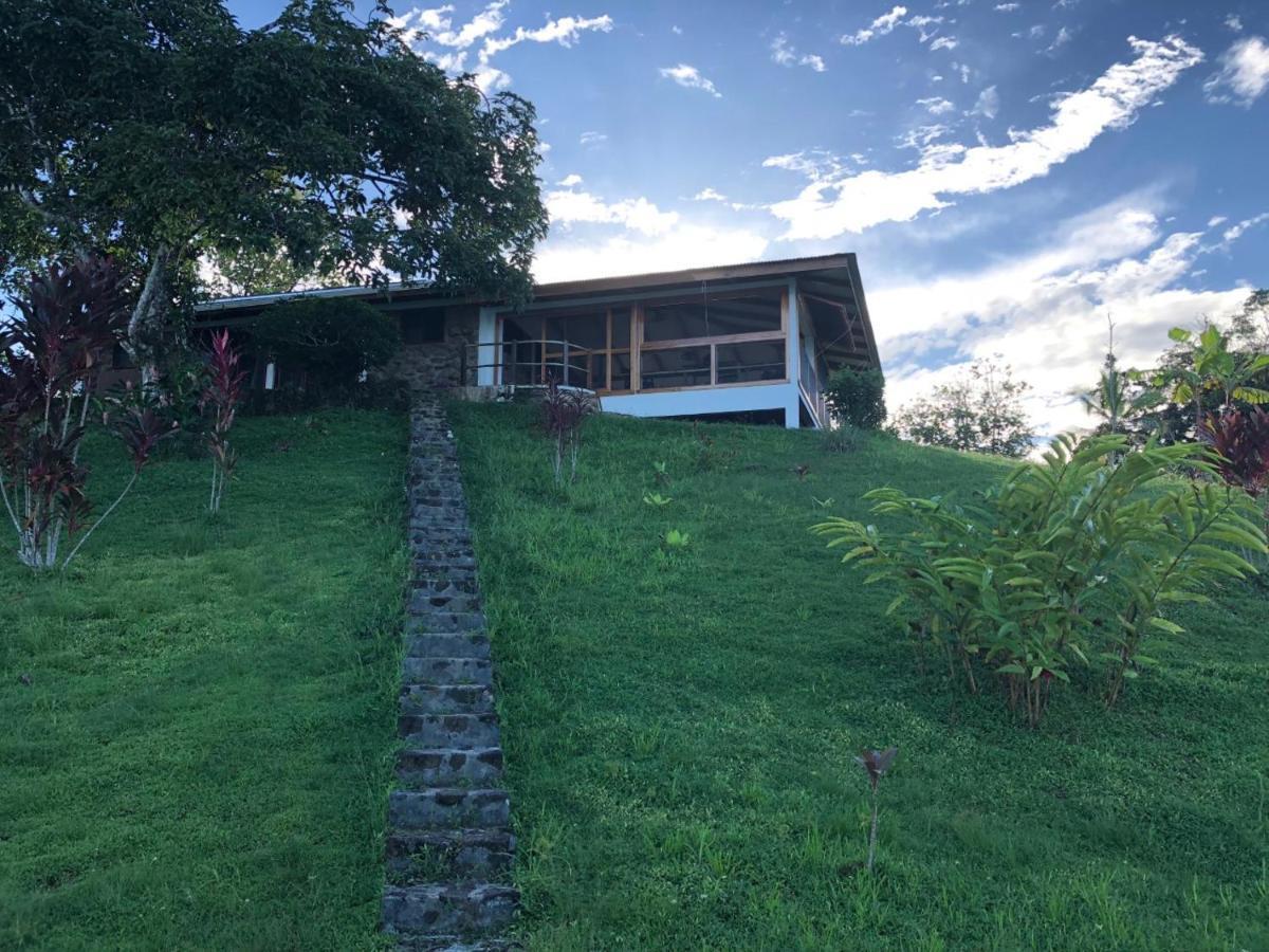 Dolphin Bay Hideaway Bed & Breakfast Bocas del Toro Exterior photo
